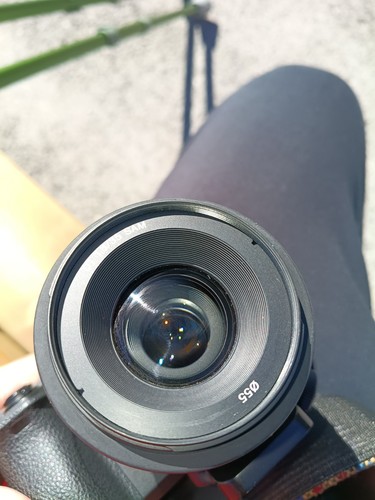Sony 35mm 8 sam - dt,